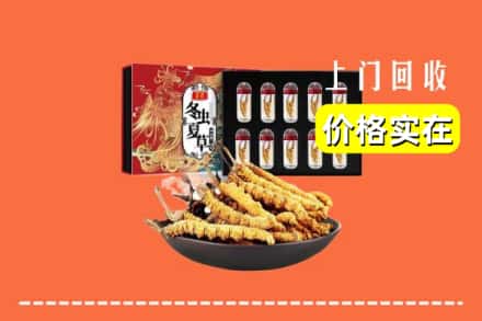 鹿寨县回收冬虫夏草